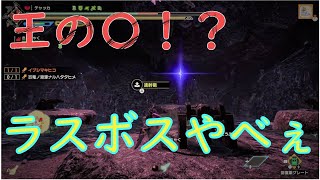 [MHRise] 真ラスボスが楽しすぎて語彙力喪失ｗｗ