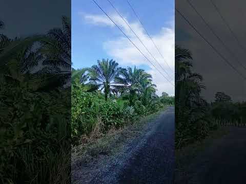 #naturalezafascinante #paisajesnaturales #bocasdeltoro #puebloscosteros