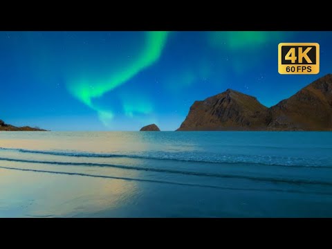 🌙 Full Moon Ocean Ambience | Healing Night Waves for Meditation