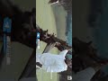 U1 Ye Rasa U1 Vjs Ilayaraja Mamanithan Vijay Sethupathi New Song