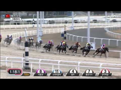 2011 TJK Trophy - Smarty Moonhak