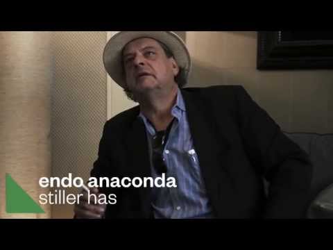 Stiller Has: Endo Anaconda «Wir machen halt Biomusik»