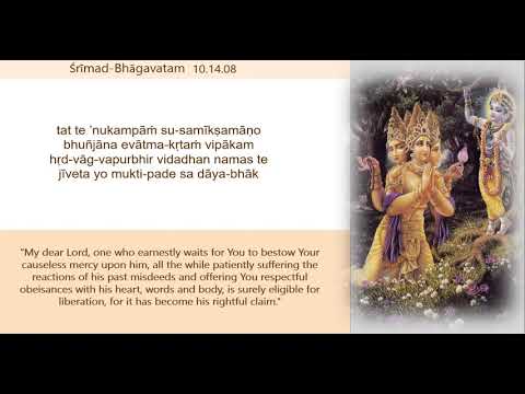 Brahmā’s Prayers to Lord Kṛṣṇa:  Śrīmad-Bhāgavatam 10.14.8  |  tat te ’nukampāṁ su-samīkṣamāṇo