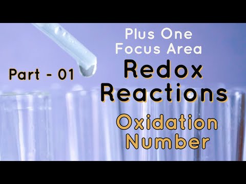 Plus one || Focus Area  ||  Chemistry  || Redox reactions || Part -1