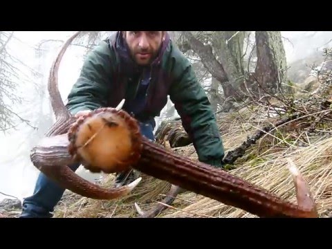 Il martello di Thor cade commenti Come ingrandire il vostro pene con MAZ