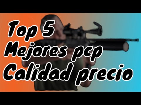 Top 5 best PCP air rifles for quality and price