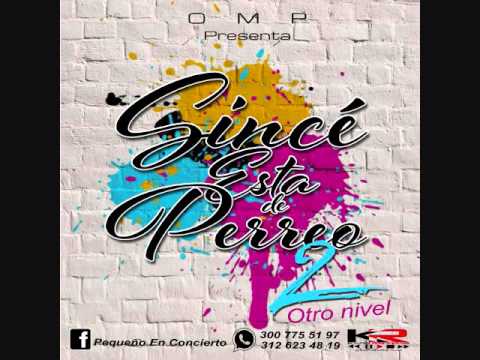 12 El Doberman Kevin Florez Sincé Esta de Perreo Vol 2