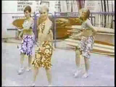 Dick and Dee Dee Where Did All The Good Times Go?