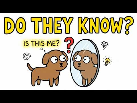 Do Animals Know They Exist?