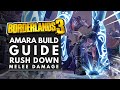 Borderlands 3 Best Builds | SHOCK MELEE Amara Build Guide