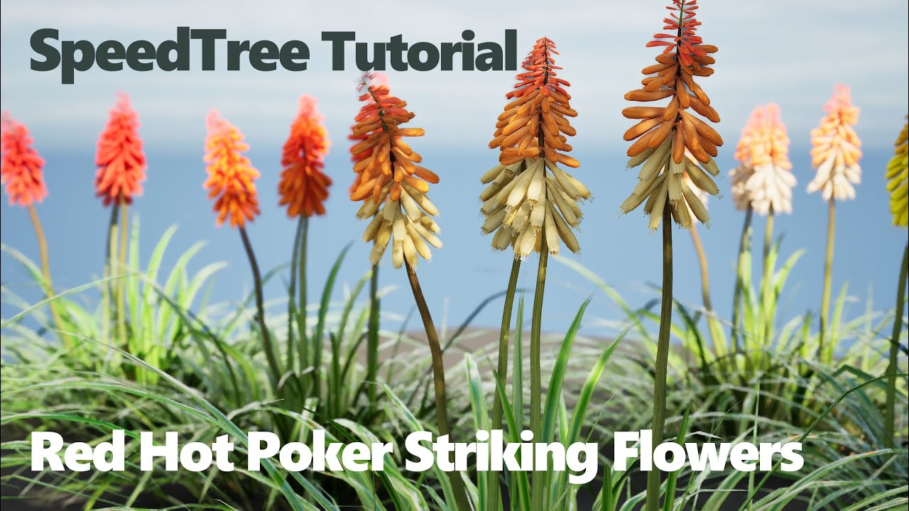 Red Hot Poker Striking Flowers 3D Model