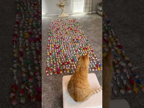 ICH HABE KURT 1.000 MÄUSE 🐀