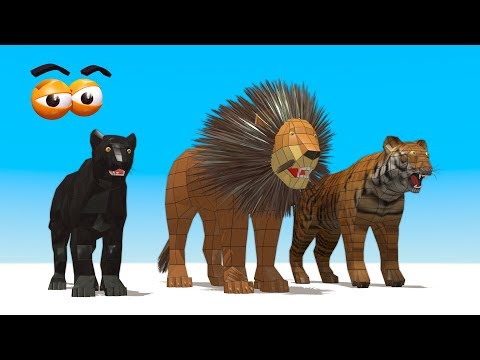 CUBE BUILDER for KIDS (HD) - Build Wild Cats for Children - AApV