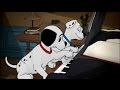 Disney Junior 101 Dalmatians Compilation