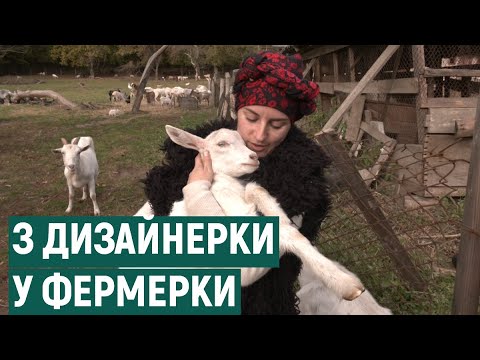 На Прикарпатті фермер виводять нову породу кіз 0