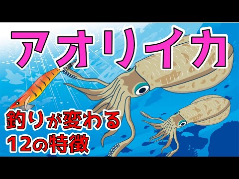 早春の夜光を通して