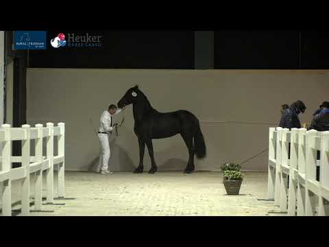 KFPS Eerste Bezichtiging HK2021 donderdag deel II – 10 december