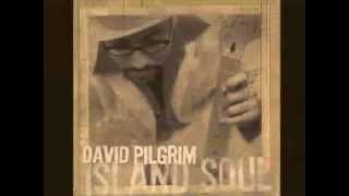 David Pilgrim - It Is A Love - Island Soul