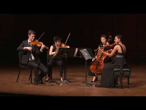 Argus Quartet   Clip 2