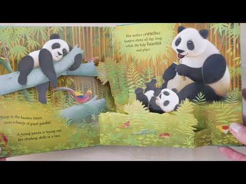 Відео огляд Pop-Up Animals [Usborne]