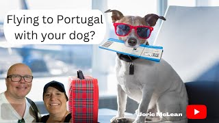 Step by step guide to flying with your Dog to Portugal @jmcstravels