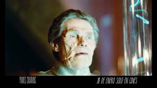 Anuncio: 'Una orgía visual y creativa'