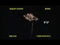 Bazaar 12 Shot Firework