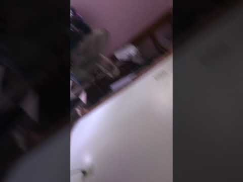 白いキリン 第8章 (The White Giraffe Chapter8)