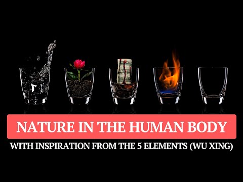 Nature Reflected in the Human Body (The 5 Elements / Wu Xing Explained)