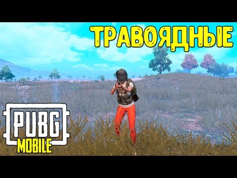 Лежать в траве не ошибка? Ошибки игроков Pubg Mobile vol.6