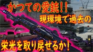 【COD:BO4】かつての愛銃が現環境でどれだけ使えるか試してみた！！【かなじぃー】