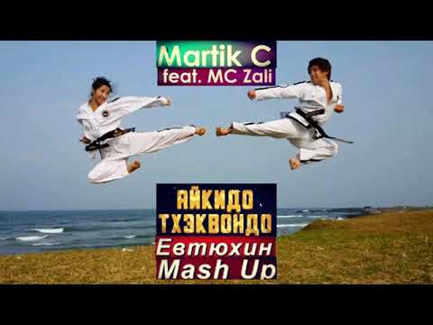 Martik C feat. MC Zali - Aikido, taekwondo
