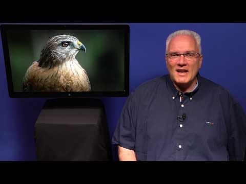 ATEMPAUSE (Donnerstag, 20. Juli 2017) „Billige Gnade?!?“ - Philipper 2, 12-18