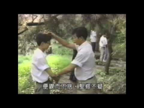 胡麻草 (Povestea adevarata falundafa)