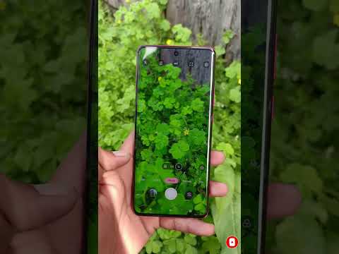 #motorola edge 40 camera test and details review and best camera 50megapixel  #smartphone  2024