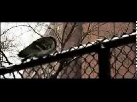 Prince Ali (P.A.)  - Rap Author & On Our Way (Prod. by Incise)