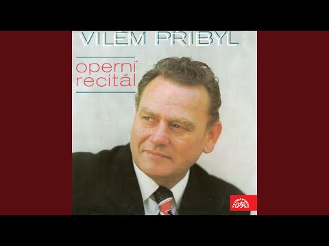 Dalibor. Opera in 3 Acts - Oh, Did You Hear It, Friend, in Heaven´s Regions (Act 1) - Act 1 -...