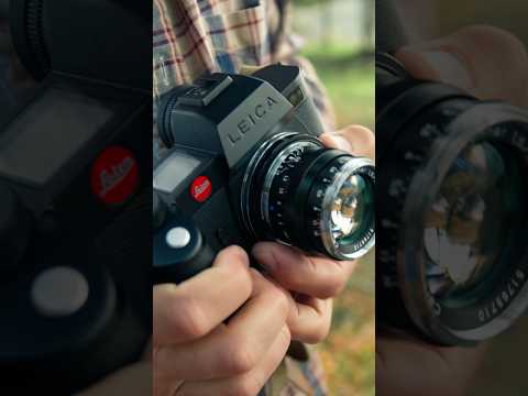 M MOUNT glass transformed