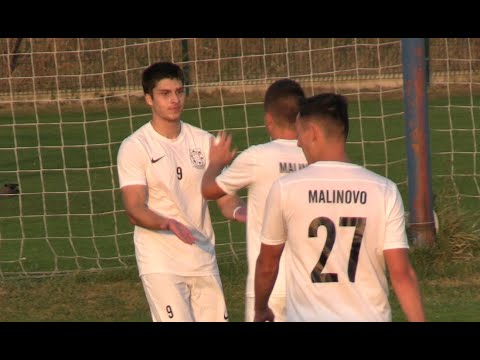 Goals FK Vajnory – TJ Malinovo 1-5 (1-0)