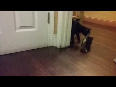 Do you    like.  The.