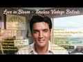 Love In Bloom Easter Timeless Love Ballads In Elvis Presley 60s Style Full Album 2026