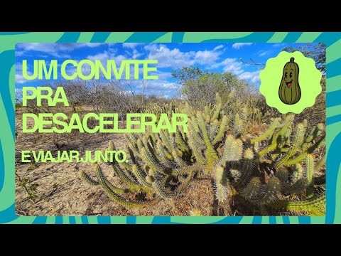 Na Estrada /// De Campina Grande a Olivedos (PB)