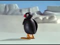 80 Subscribers Special The Pingu Show Intro