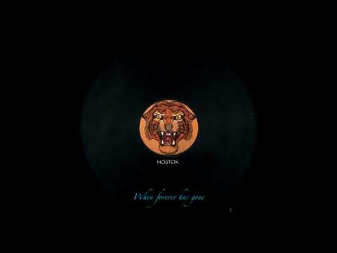 Hostox  When Forever Has Gone