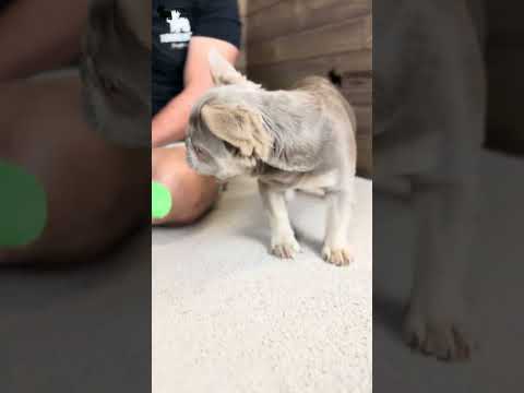 Video 2