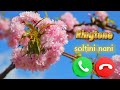 New Ringtone Soltini Nani 2025 Nepali Song Trendingshorts Ringtone Trending