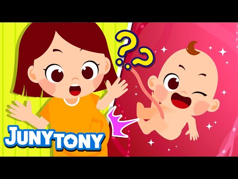 How Is a Baby Born? | Baby Born Song | New Baby Song | My Body Songs for Kids | JunyTony