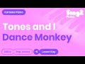Tones and I - Dance Monkey (Lower Key) Piano Karaoke