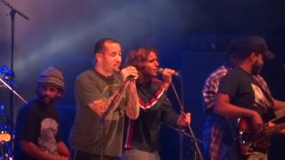 Ben Harper and the Innocent Criminals // Live Forest National // Under pressure