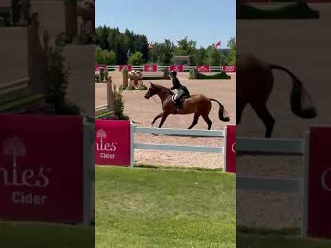 Cassadino video 4